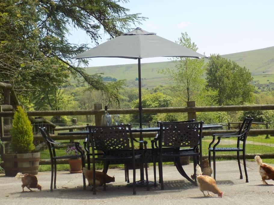 Lower Willsworthy Cottage Tavistock  Ngoại thất bức ảnh