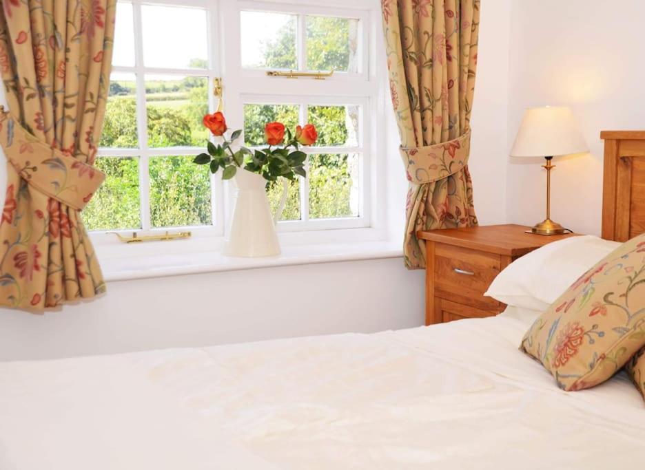Lower Willsworthy Cottage Tavistock  Ngoại thất bức ảnh